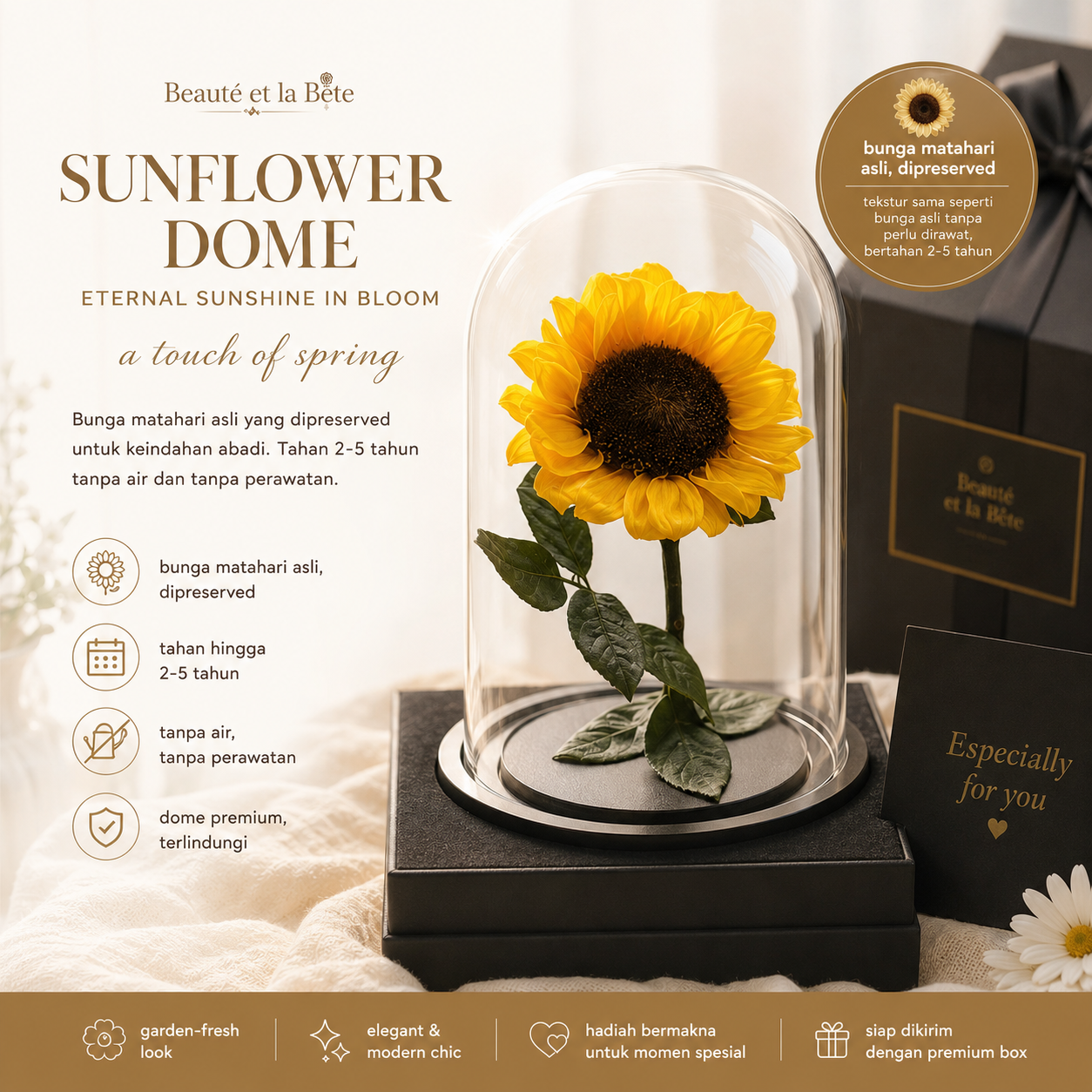 Sun flower Dome – Eternal Sunshine in Bloom