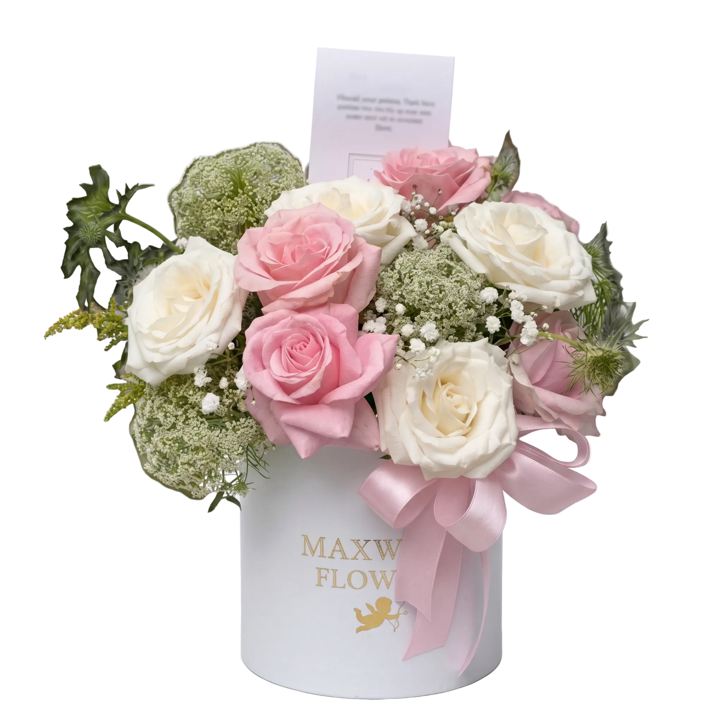 Carmila Rounded Box