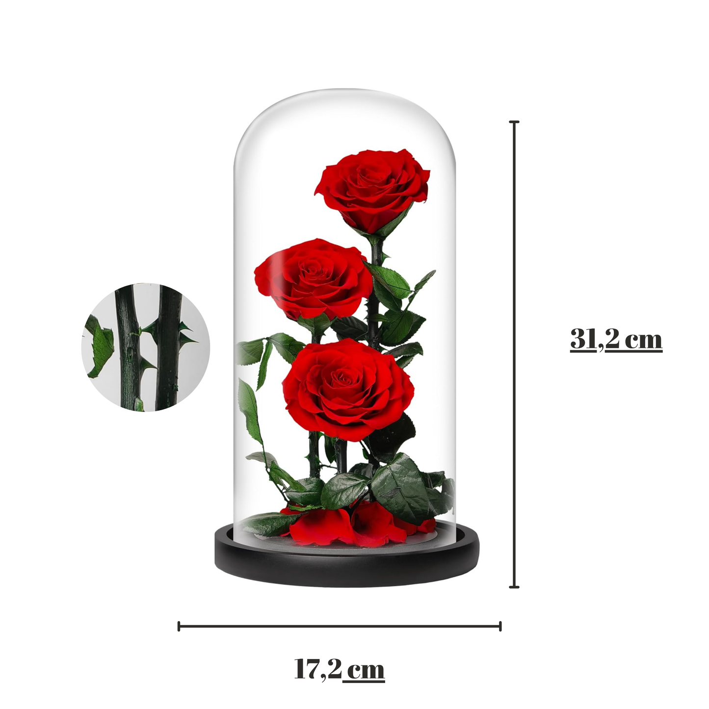 Greatest Rose Jumbo Dome Eternal Rose