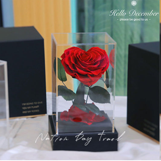 Rose Love eternal acrylic - Luxury rose