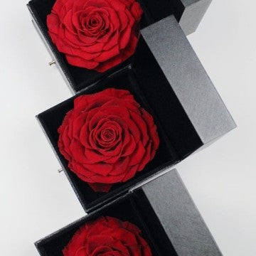 THE GREATEST ETERNAL BLACK BOX - ROSE EQUADOR SUPER MEWAH - VALENTINE READY TO SHIP