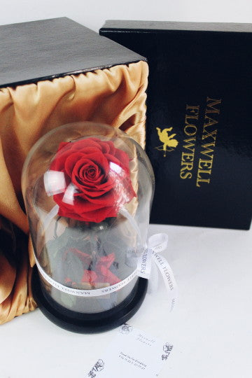 THE GREATEST ETERNAL ROSE DOME - VALENTINE READY TO SHIP