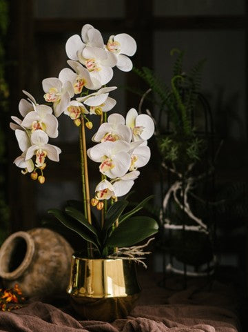 ORCHID IMPORTED VASE