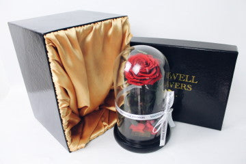 THE GREATEST ETERNAL ROSE DOME - VALENTINE READY TO SHIP