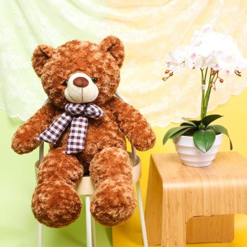 MEDIUM CLASSIC TEDDY BEAR
