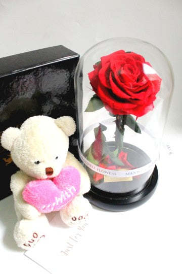 THE GREATEST ETERNAL ROSE DOME - VALENTINE READY TO SHIP