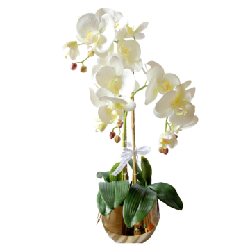 ORCHID IMPORTED VASE