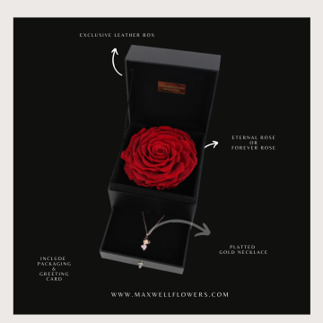 THE GREATEST ETERNAL BLACK BOX - ROSE EQUADOR SUPER MEWAH - VALENTINE READY TO SHIP