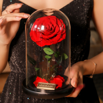 THE GREATEST ETERNAL ROSE DOME - VALENTINE READY TO SHIP