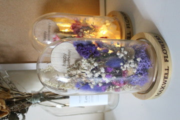 ELLA - DRIED DOME (TANPA LAMPU)