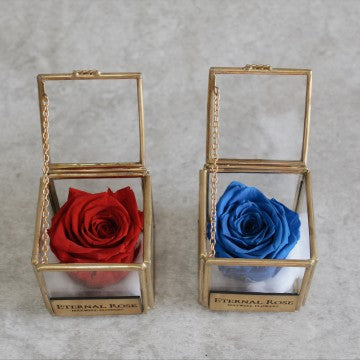 ETERNAL ROSES ON GLASS BOX