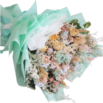 Paddle Pop Dried Bouquet JUMBO