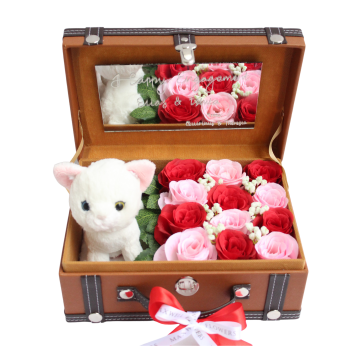 TREASURE BOX 12 Kitten Kucing Limited