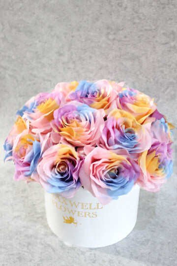 Rainbow rounded box new