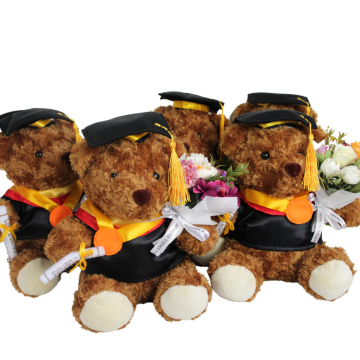 GRADUATION TEDDY WITH MINI BOUQUET