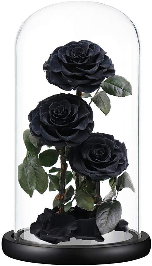 Greatest Rose Jumbo Dome Eternal Rose
