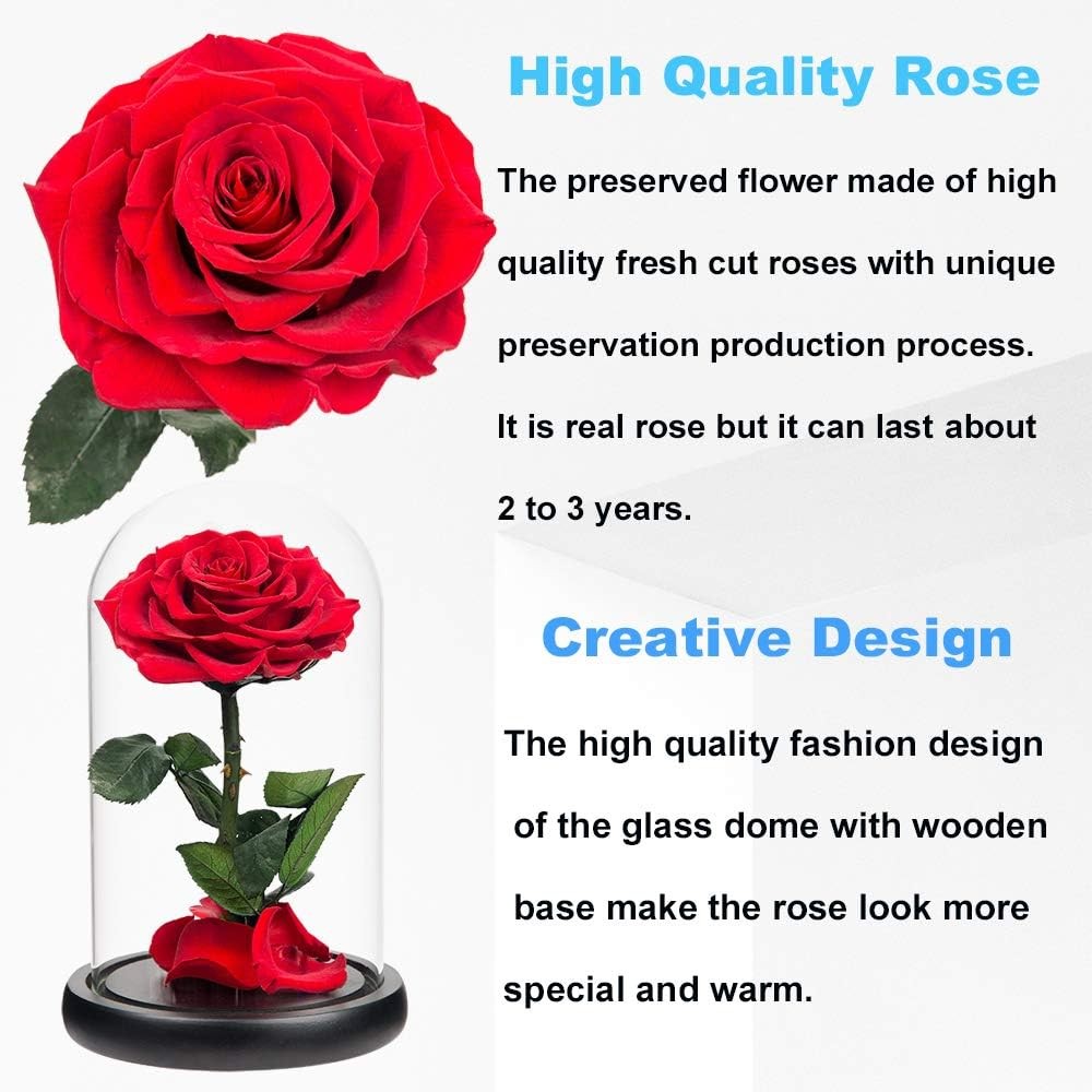 Mini the greatest rose dome