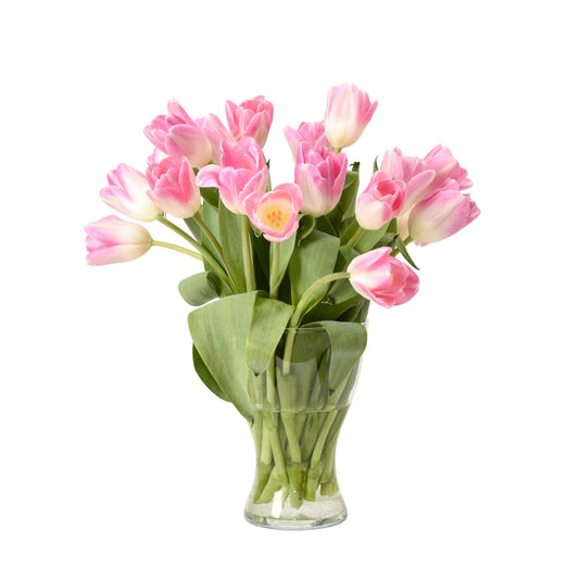 Tulip in clear vase
