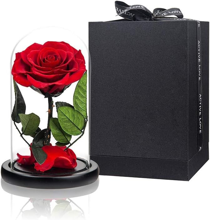 Mini the greatest rose dome