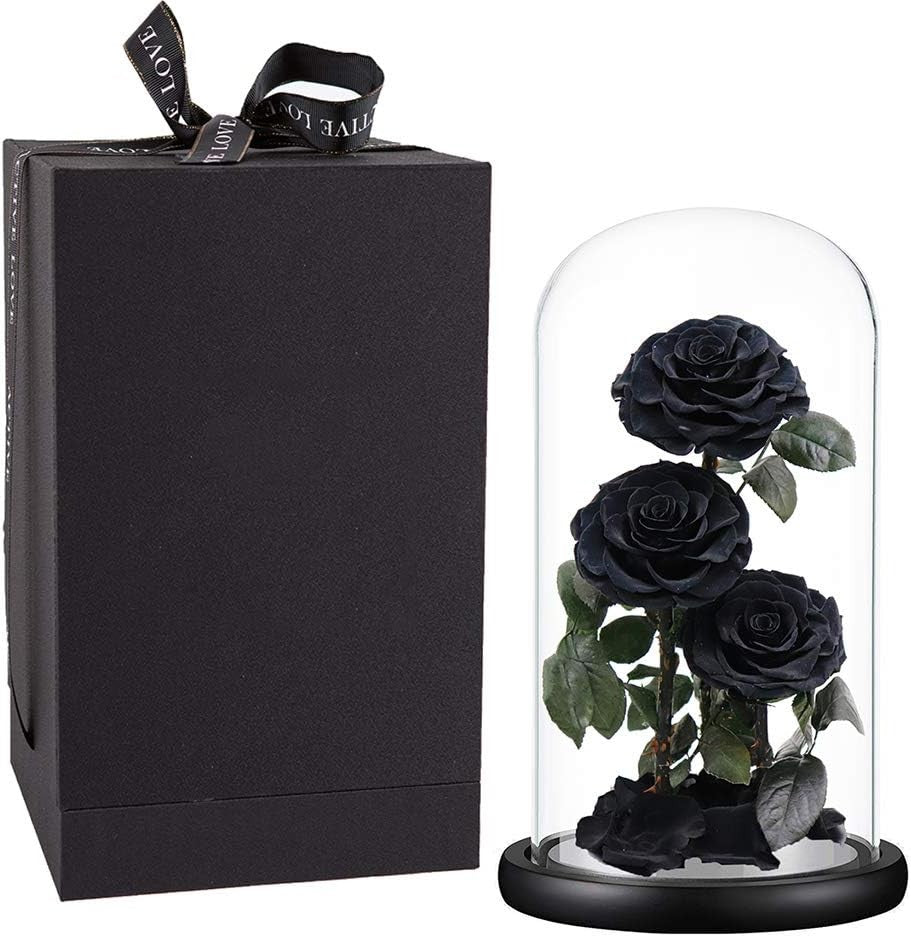 Greatest Rose Jumbo Dome Eternal Rose