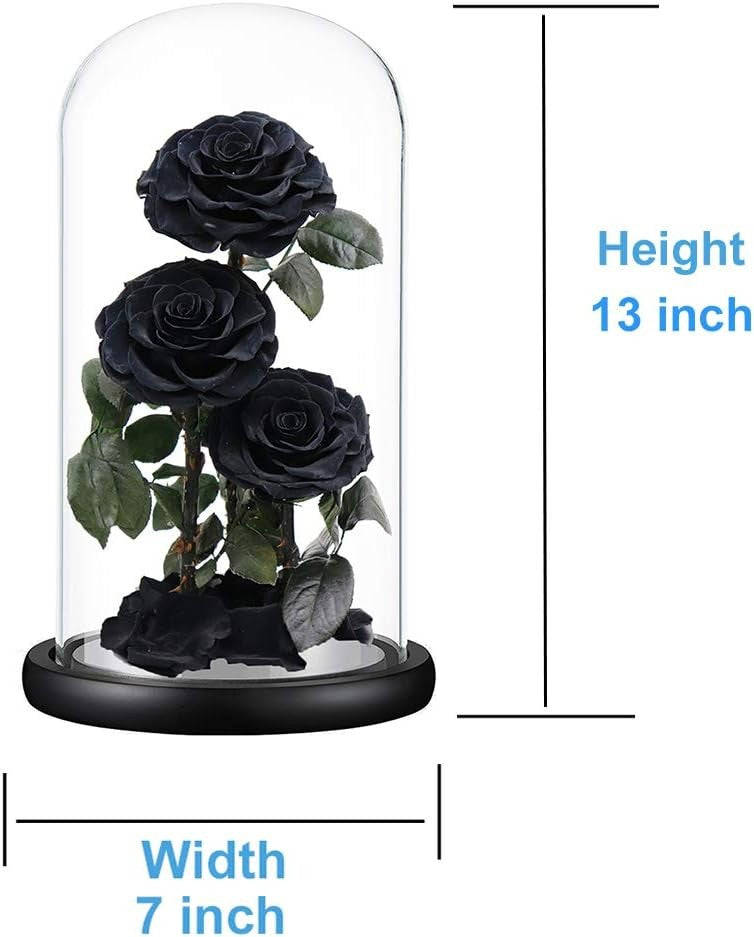Greatest Rose Jumbo Dome Eternal Rose