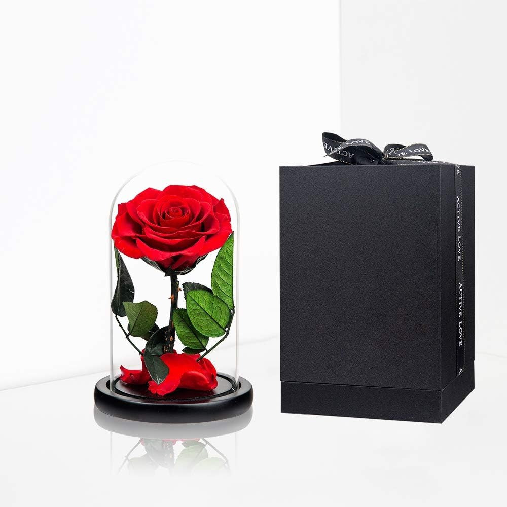 Mini the greatest rose dome