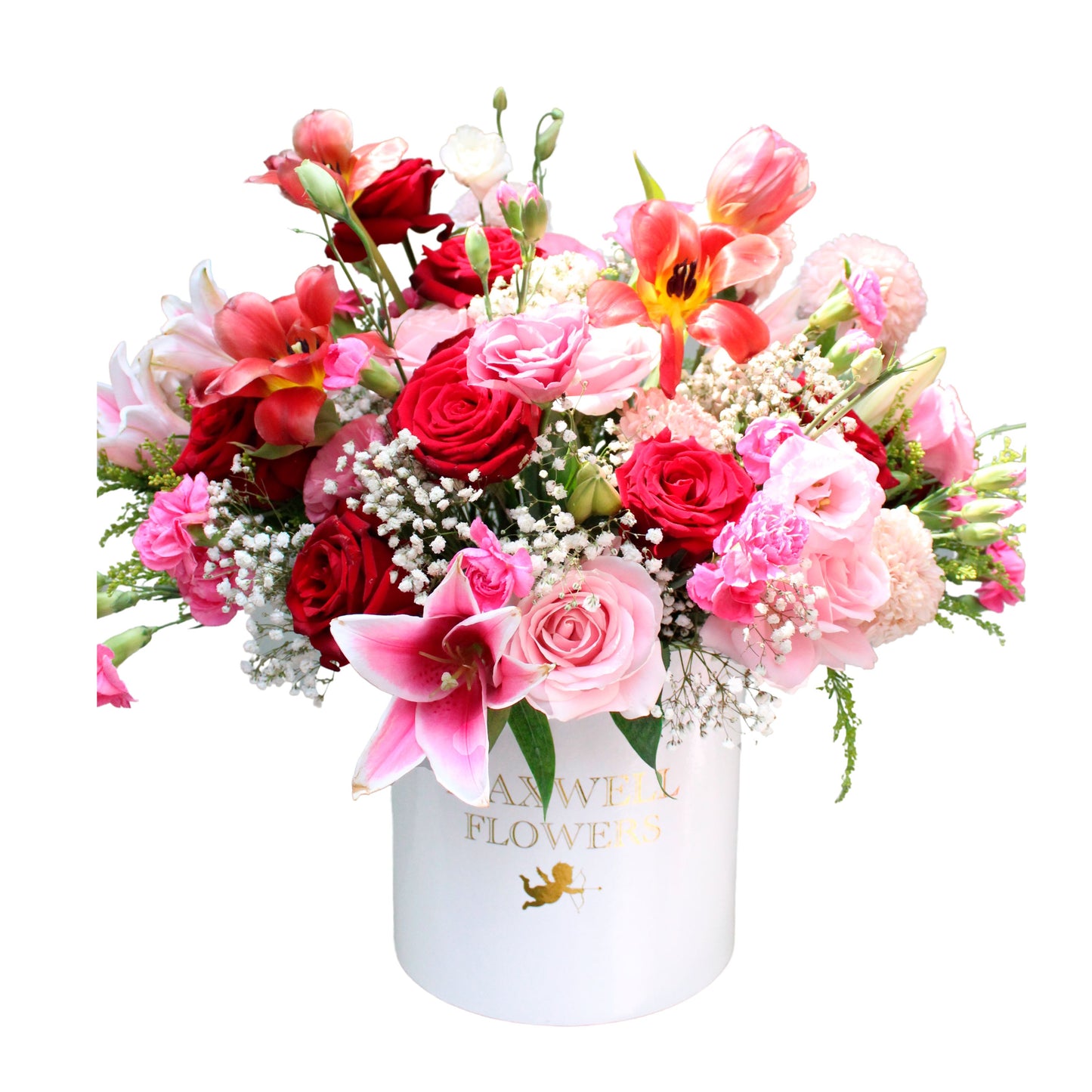 Tulipily - Fresh Rounded Box