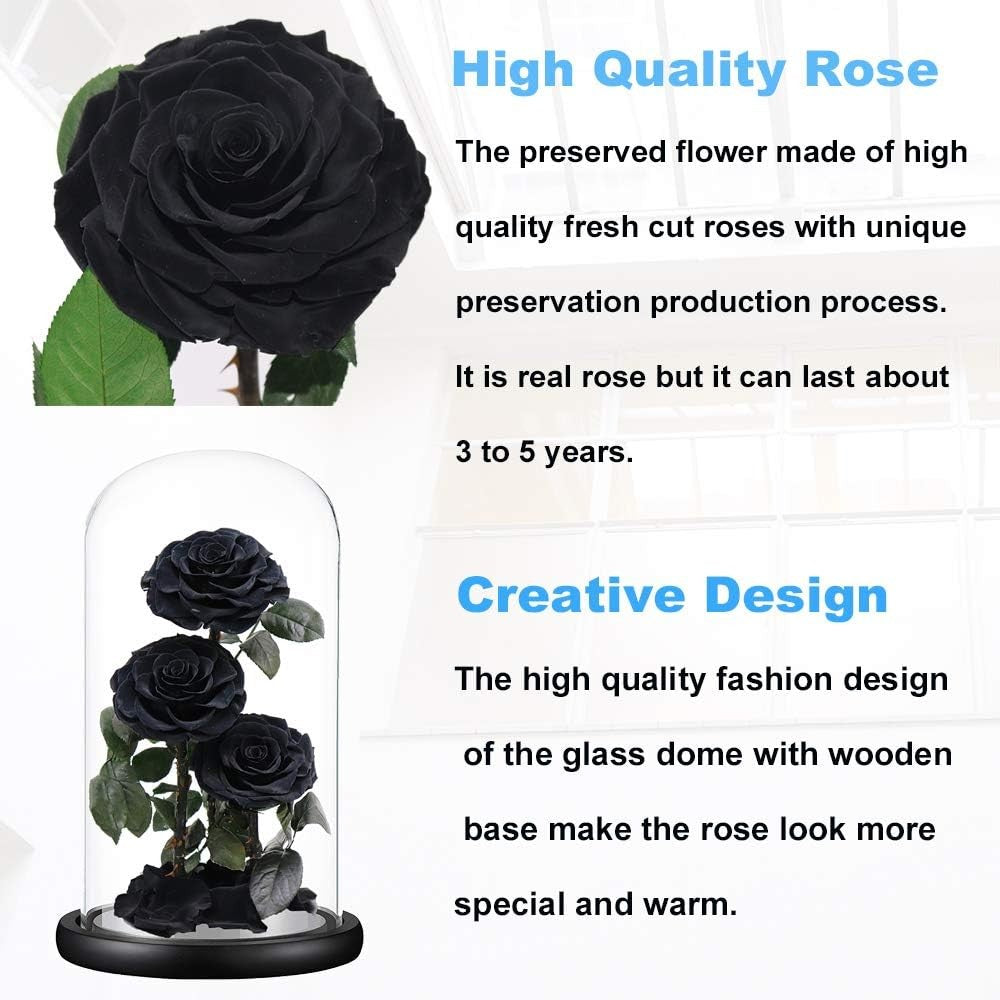 Greatest Rose Jumbo Dome Eternal Rose