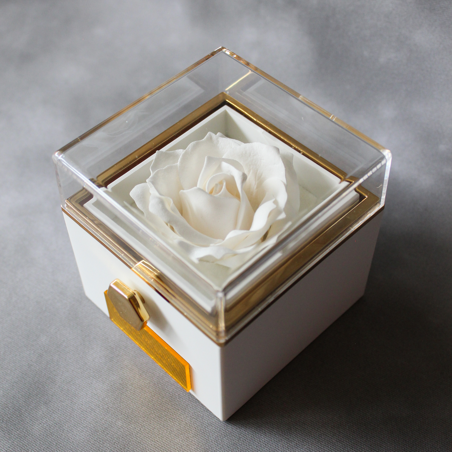 Exclusive Box Rose Dome + Rotating Soap Flowers