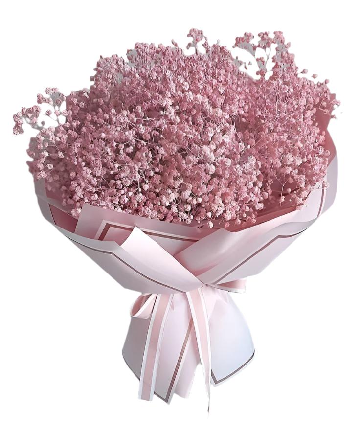 Pink baby breath