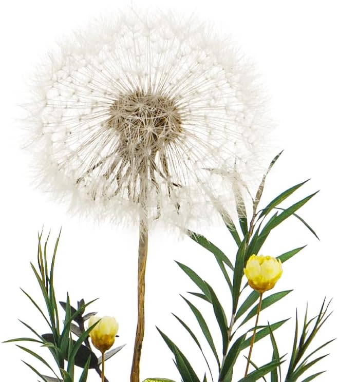 Dandelion (New) - Japanese Wishing Flowers