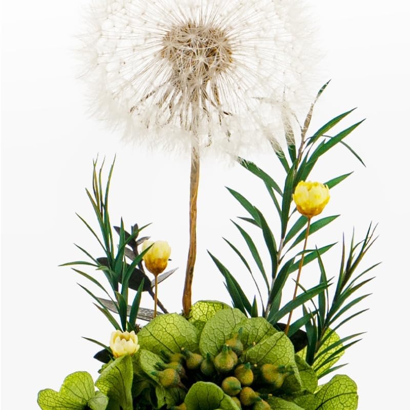 Dandelion (New) - Japanese Wishing Flowers