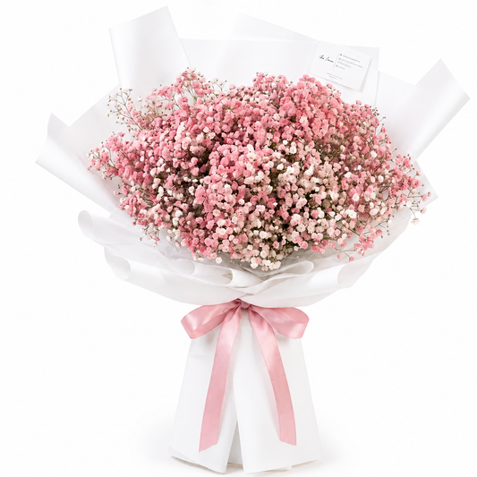 Baby breath jumbo 2