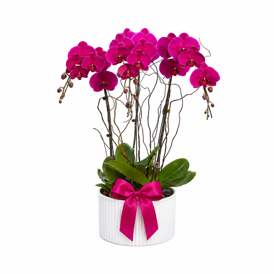 Orchid Vase x 3