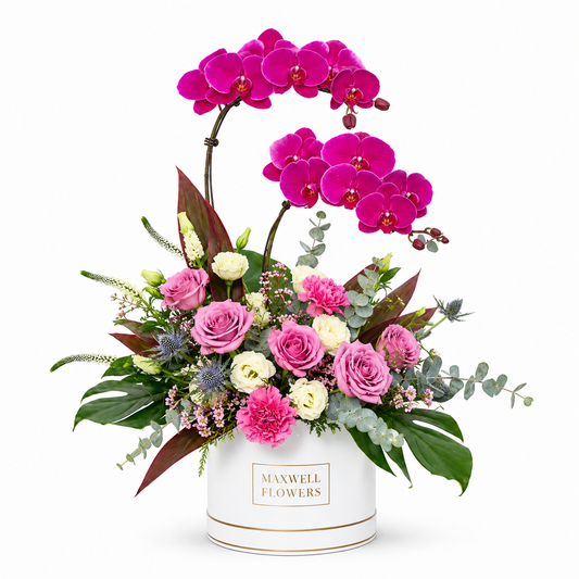 Magnifique Orchid Box