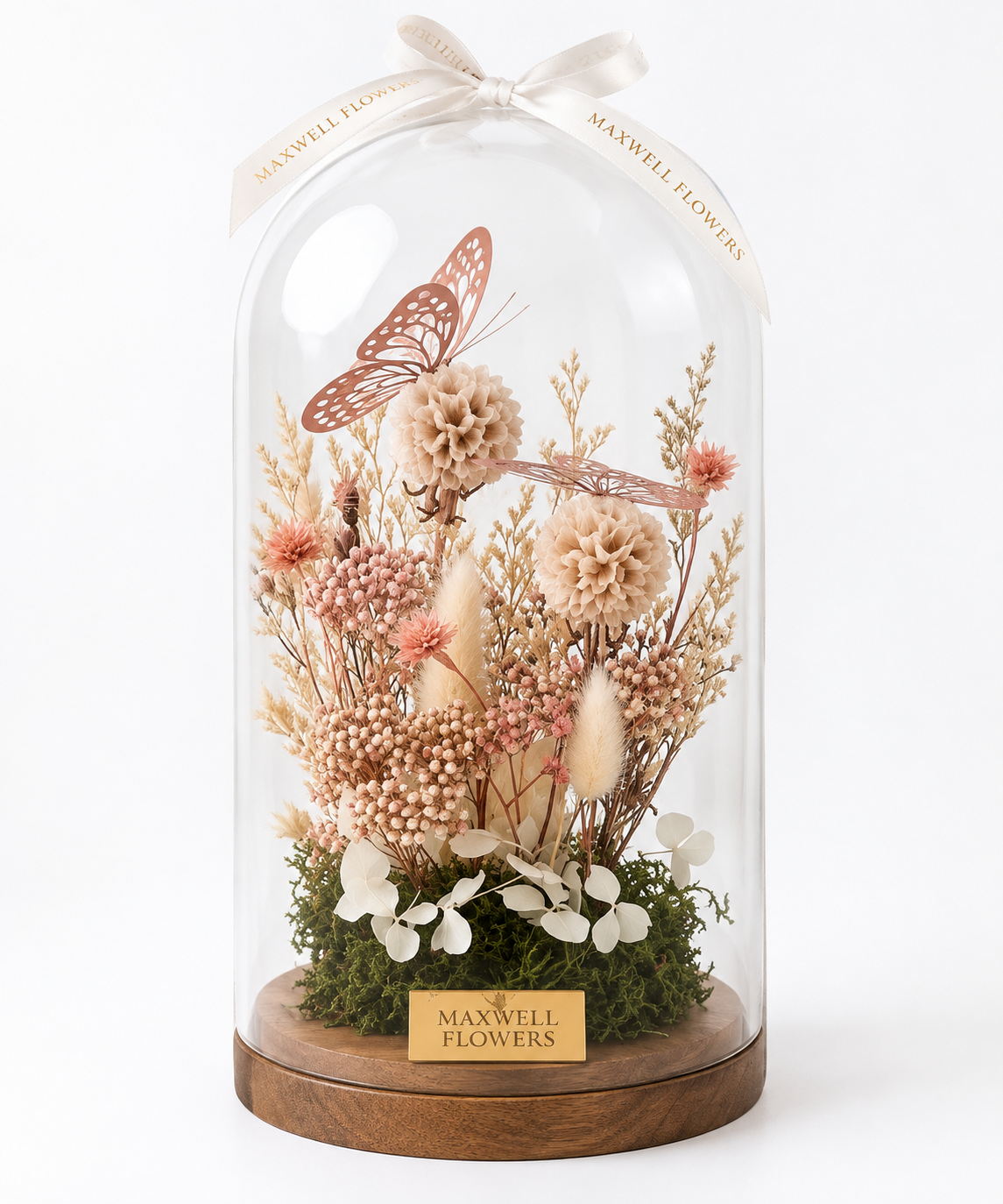 Gardenia Dried and Eternal Flowers Dome Big size