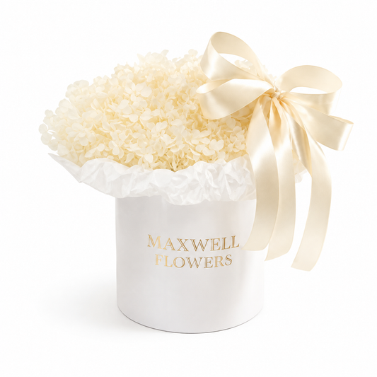 The White Eternal Hydrangea Box