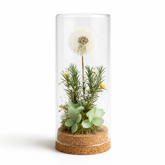 Dandelion Dome Timeless Natural Beauty