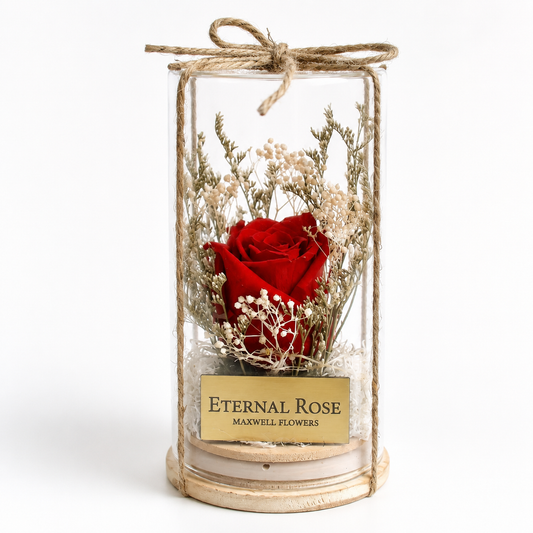 Belle Eternal Rose Dome