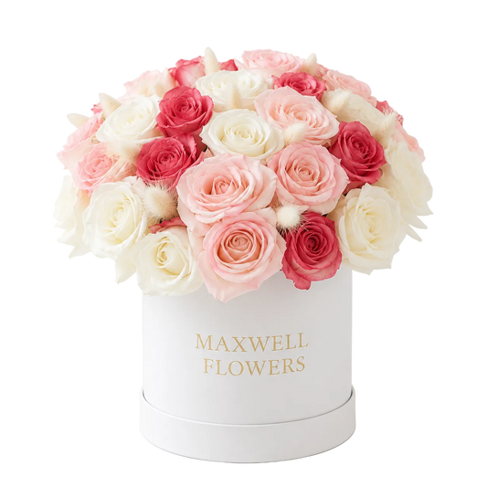 A round white box filled with a dense bouquet of preserved roses in shades of blush pink, deep red, and creamy white, with the words 'MAXWELL FLOWERS' printed in gold on the front, set against a clean white background.