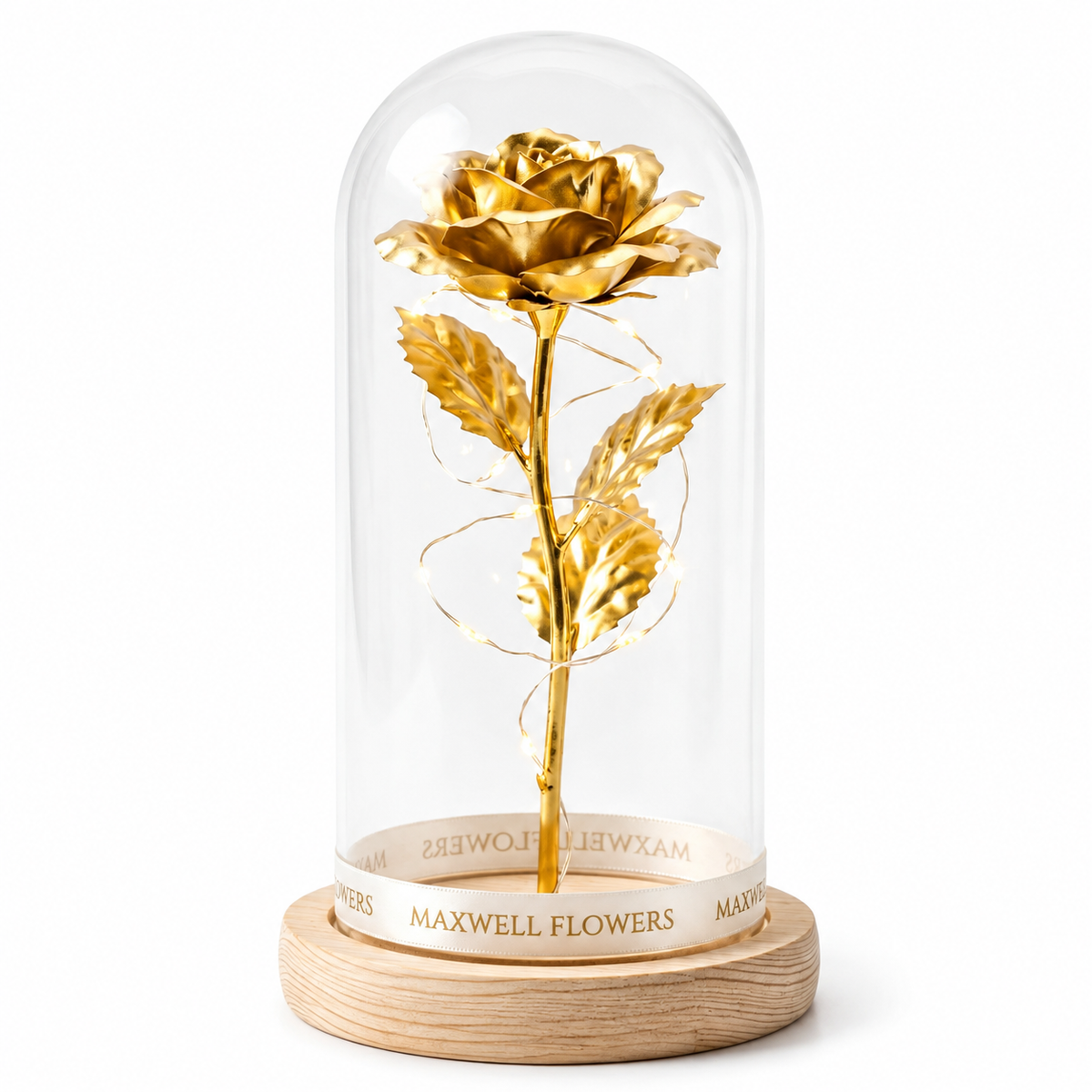 The 24K Dome — Sealed in Gold, Paired with a Love Languages Necklace