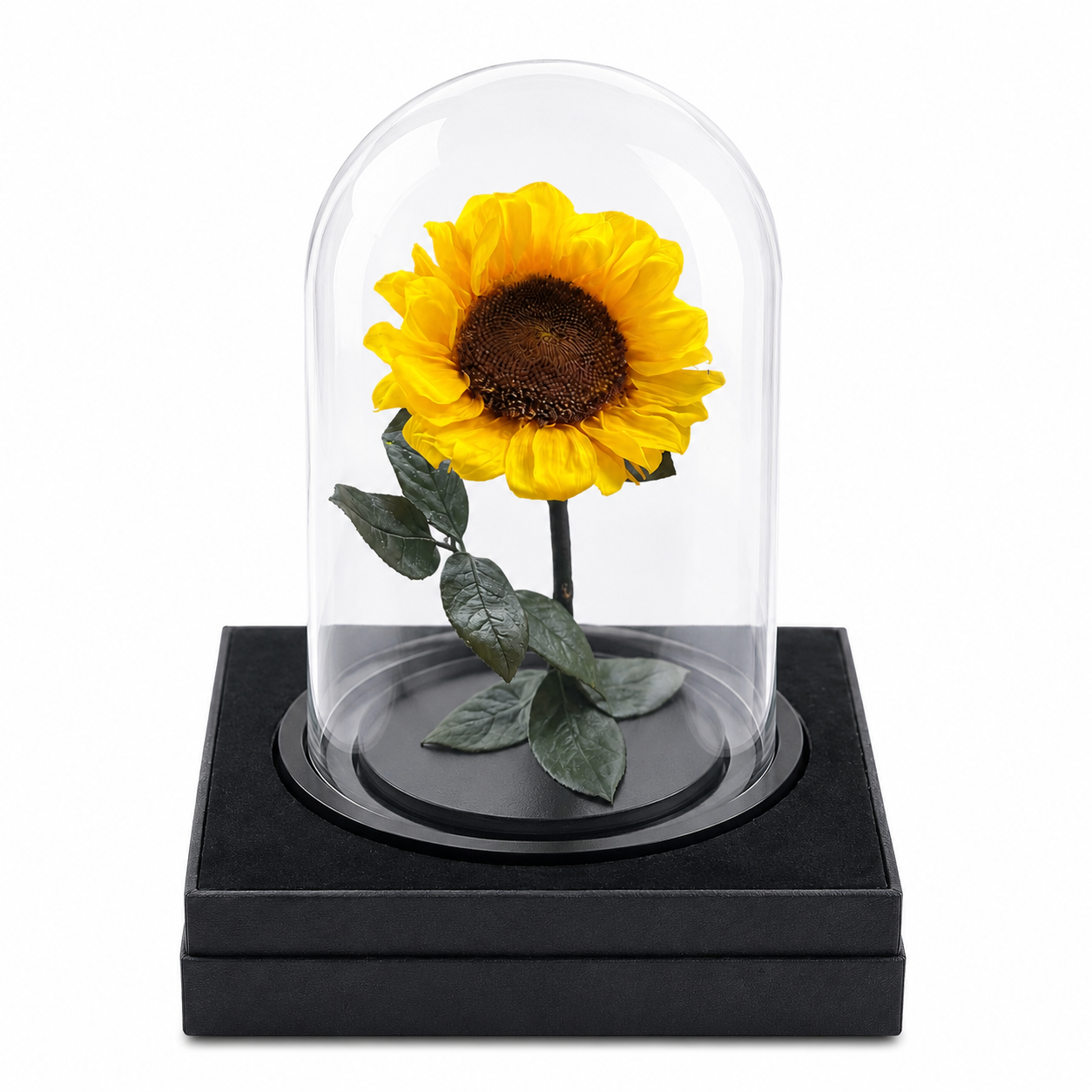 Sun flower Dome – Eternal Sunshine in Bloom