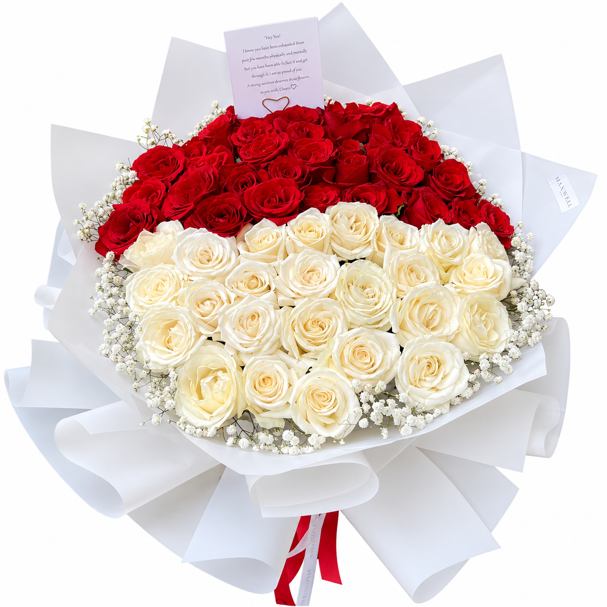 (Valentine's Day) Fresh Flowers 100 Red and white roses - The Perfect Harmony of Love