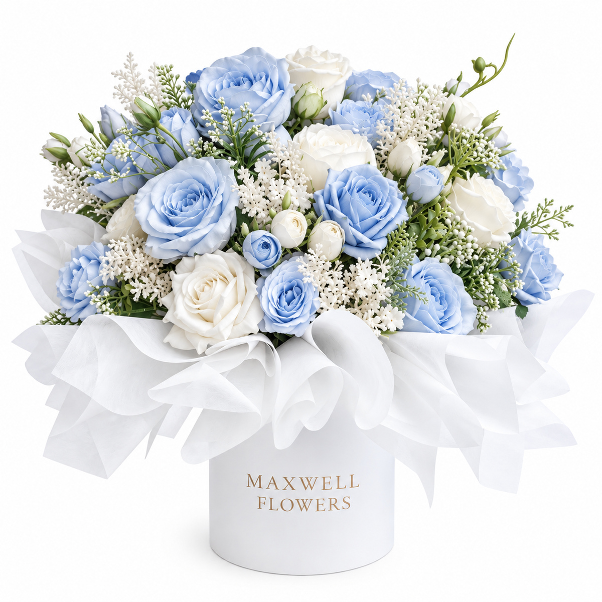 Laluna Rounded box