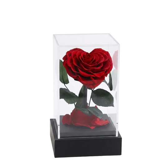 Rose Love eternal acrylic - Luxury rose