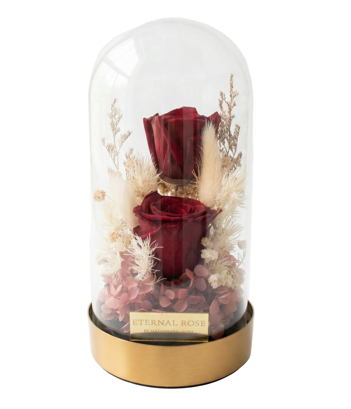 Two red roses and dried flowers under a glass dome with a gold base on a white background.