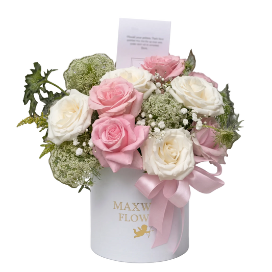 Carmila Rounded Box