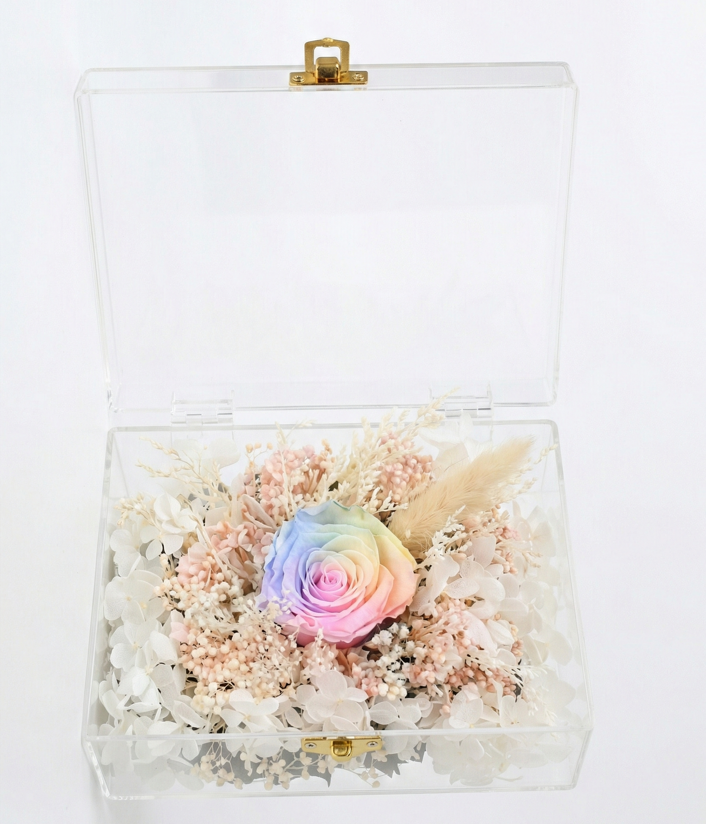 Transparent box with a colorful rose and decorative elements on a white background