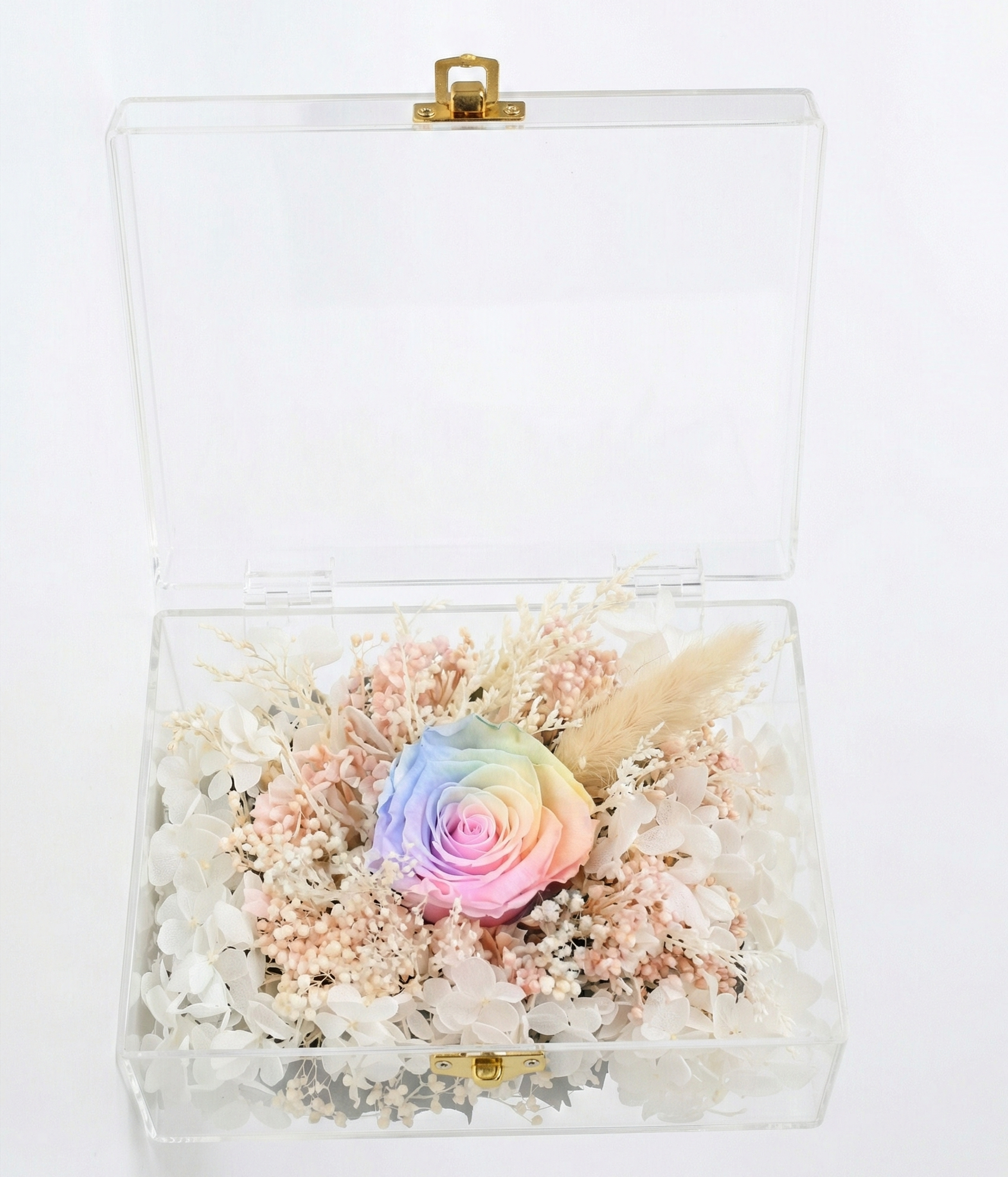 Transparent box with a colorful rose and decorative elements on a white background