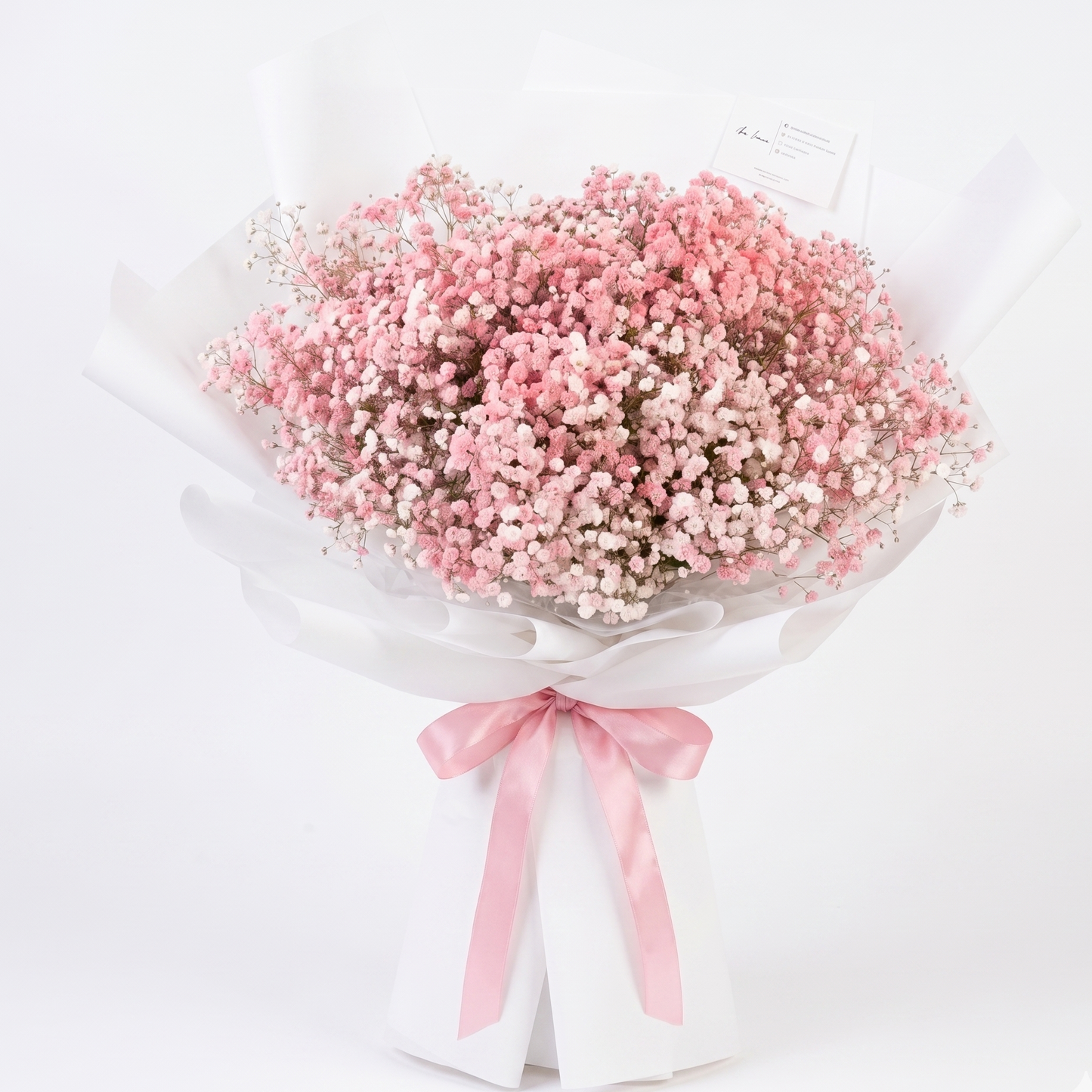 Baby breath jumbo 2